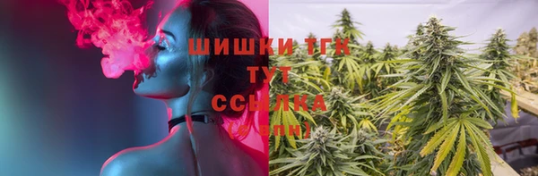 прущие грибы Магас