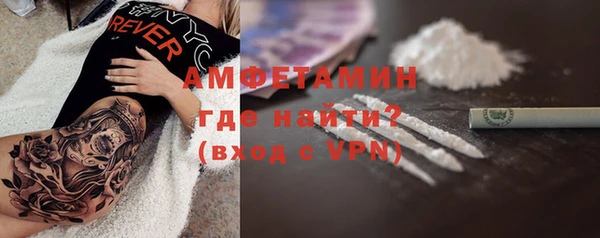 прущие грибы Магас