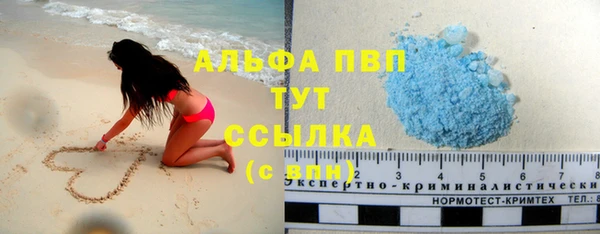 прущие грибы Магас