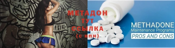 прущие грибы Магас