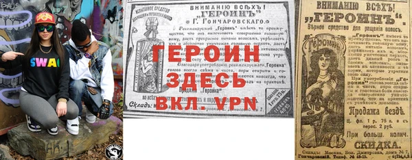прущие грибы Магас