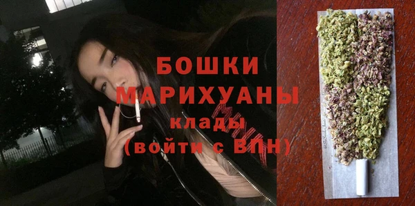 прущие грибы Магас