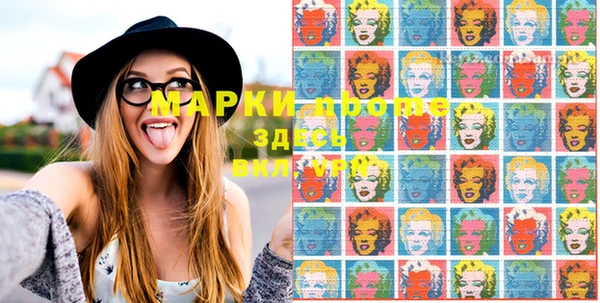 прущие грибы Магас