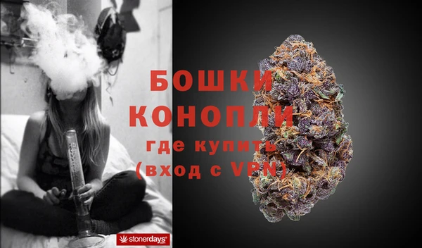 мдпв Майский