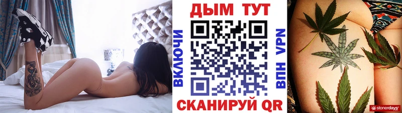 Купить где  Полярный  Бошки Шишки семена 